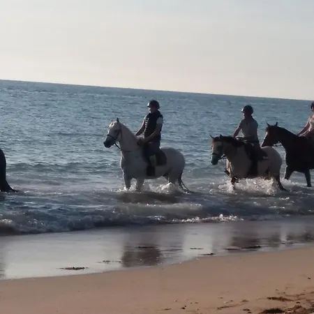 Pres De La Naturiste De Granville Bréville-sur-Mer