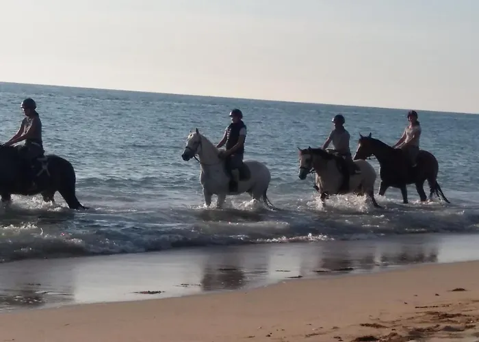 Lgbt Pres De La Naturiste De Granville Bréville-sur-Mer